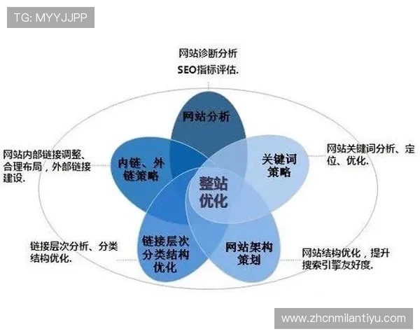 米兰体育网站登录不上原因分析与解决方案详解