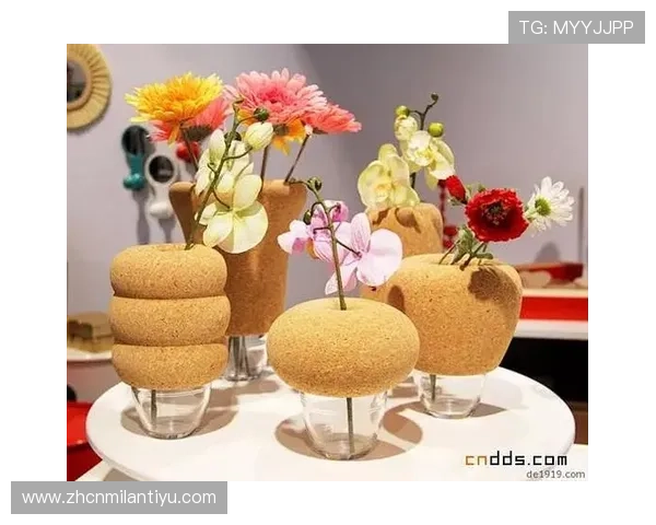 米兰官方下载网站注册及登录流程详解